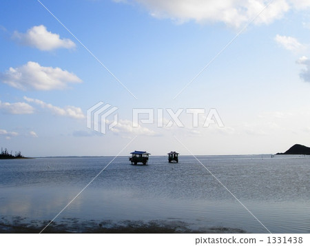 沖繩，水牛車 1331438