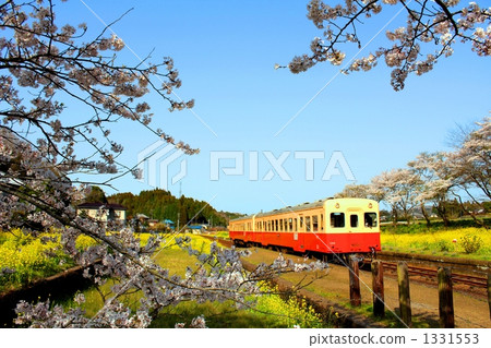 Spring Kominato Railway 1331553