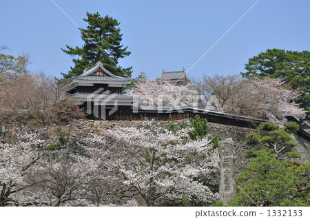 城堡和櫻花 城堡和櫻花 1332133