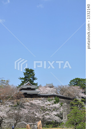 Castles and cherry blossoms Castles and cherry blossoms 1332140