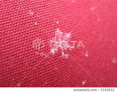 雪花 1332612