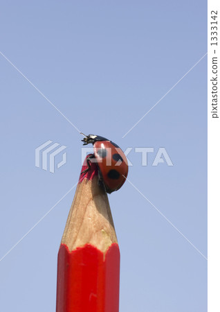 ascend, go up, color pencil 1333142