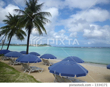 Beach resort image 1334171