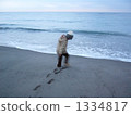 water's edge, younger, cloudy 1334817