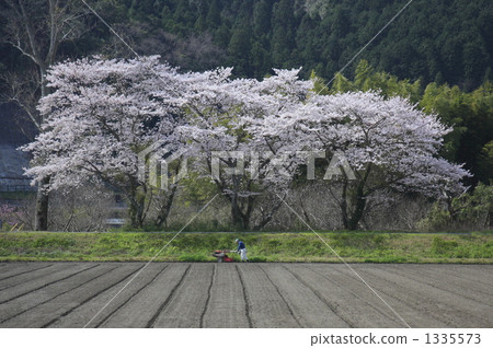 種植 原野 田地 1335573