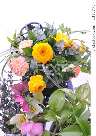 eucalyptus, pothos, devil's ivy 1335773