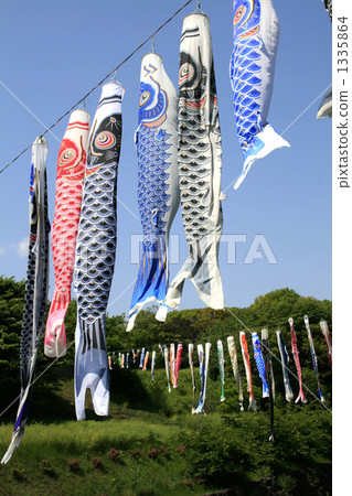 carp streamer, japanese carp-shaped windsock, boys' day 1335864