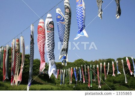 carp streamer, japanese carp-shaped windsock, cloudless 1335865