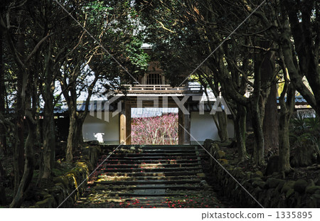 走在三國坂·Takiya-ji寺 走在三國坂·Takiya-ji寺 1335895