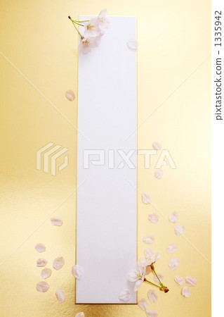 小條和櫻花花瓣 1335942