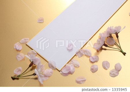 Strips and cherry blossom petals 1335945