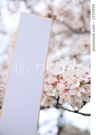 Cherry blossoms and strips 1335959