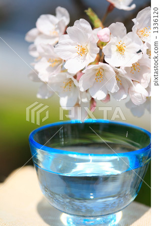 與玻璃和吉野櫻花樹的Inoguchi 1336120