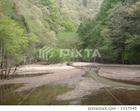 山梨縣Hinakawa Yakusawazawa Stream 山梨縣Hinakawa Yakusawazawa Stream 1337048