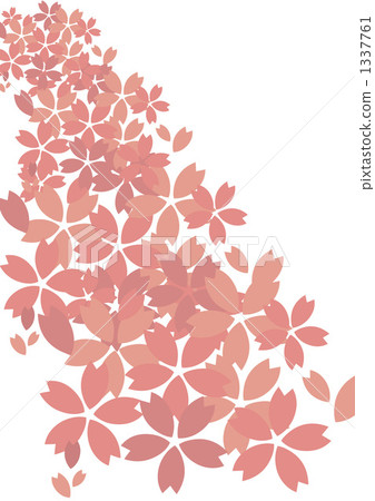 Cherry blossom scattering 1337761