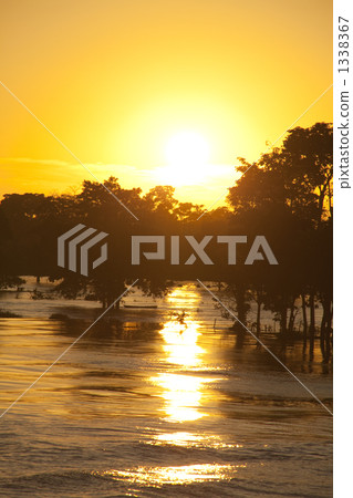 亞馬遜河的晚上視圖 1338367