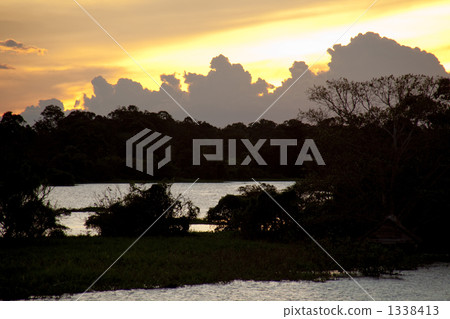 亞馬遜河的晚上視圖 1338413