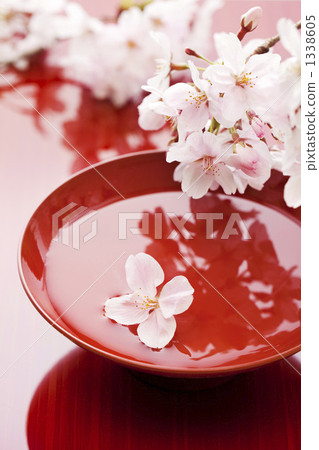 Cup and cherry blossom petals 1338605
