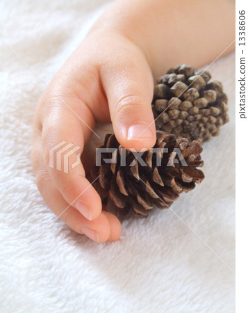 Pine cone and small hand A 1338606