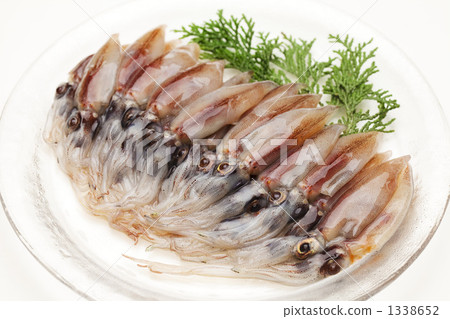 原料螢火蟲魷魚 1338652