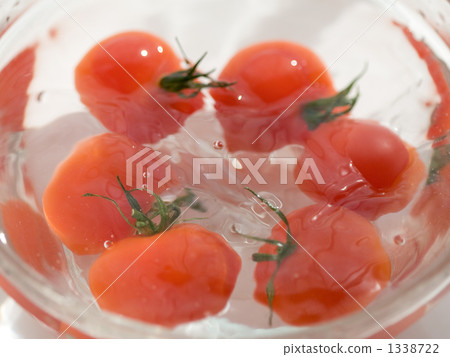 新鮮的西紅柿 1338722