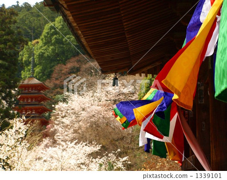 Spring breeze 1339101