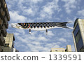 Carp streamer 1339591