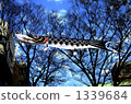 carp streamer, japanese carp-shaped windsock, may 1339684