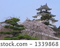 掛川城7 1339868