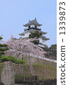 掛川城8 1339873