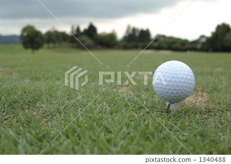 Ball on the lawn 1340488