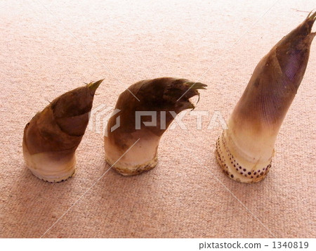 Three bamboo march! Forward! 1340819