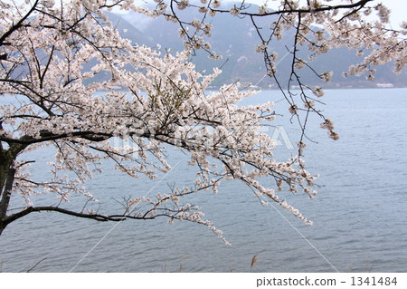 湖泊 湖 海灣 1341484