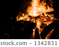Burn your fish 1342831