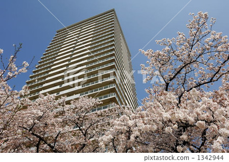 High rise apartment High rise apartment 1342944