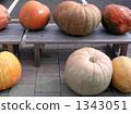Pumpkin pumpkin 1343051