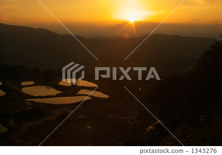 水稻梯田的黎明 1343276