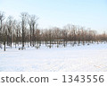 積雪 下雪 雪 1343556