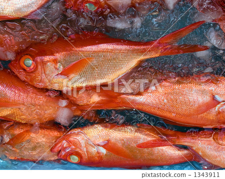 fish and shellfish, seafood, splendid alfonsino 1343911