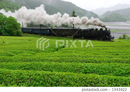 Tea plantations and SL Tea plantations and SL 1343922