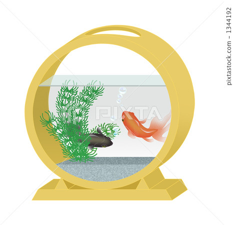 Gold fish bowl 03 2 pphs type 1344192