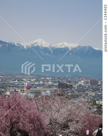 北阿爾卑斯山和降雪櫻花 1344485