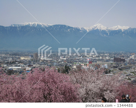 北阿爾卑斯山和降雪櫻花 1344488