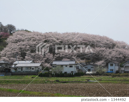 所有Yamanakura Koboriyama Kofun 所有Yamanakura Koboriyama Kofun 1344492