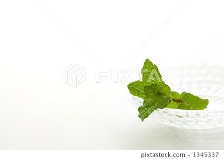 A small dish of mint and glass 1345337