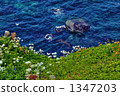 sunken rocks, ocean, sea 1347203