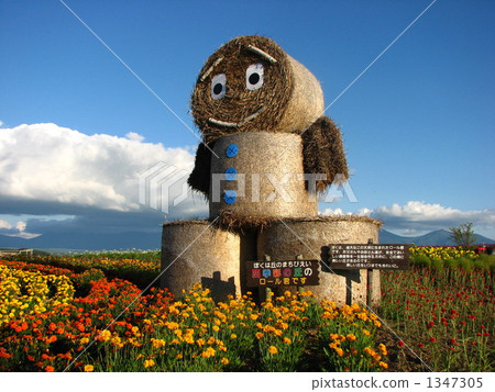 Roll that takes a fall sunset and protects beautiful flower garden Roll that takes a fall sunset and protects beautiful flower garden 1347305