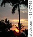 它是夏威夷歐胡島的日落美景。太陽落在棕櫚樹和大海上。 1347749