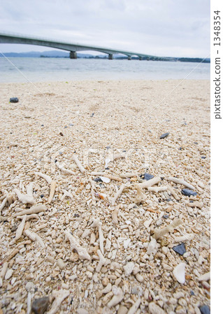 Koryu橋和珊瑚 1348354