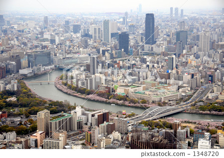 大阪薄荷的航拍照片櫻花季節的 1348720